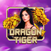 Dragon Tiger on Bigwin Link