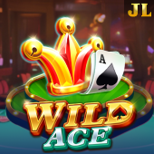 Wild Ace Slot on Bigwin Link